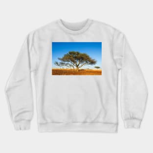 Camel thorn acacia tree in the Kalahari (C021/1700) Crewneck Sweatshirt